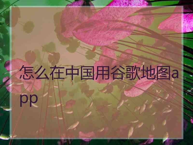 怎么在中国用谷歌地图app