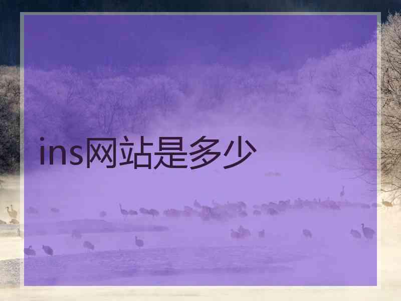 ins网站是多少