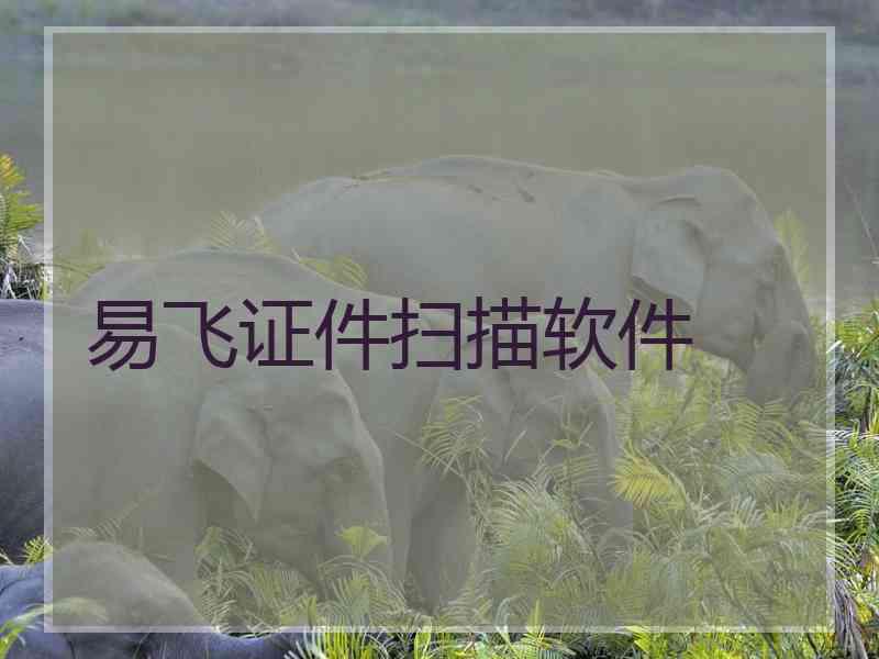 易飞证件扫描软件