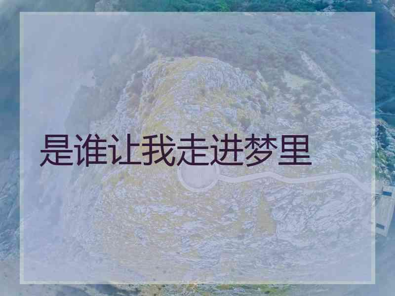 是谁让我走进梦里