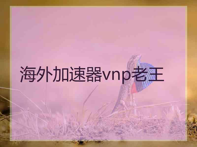 海外加速器vnp老王