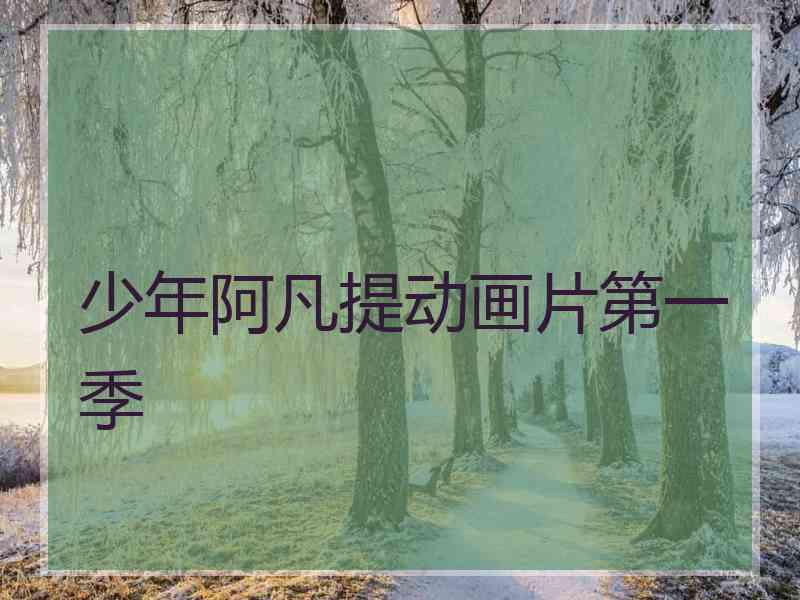少年阿凡提动画片第一季