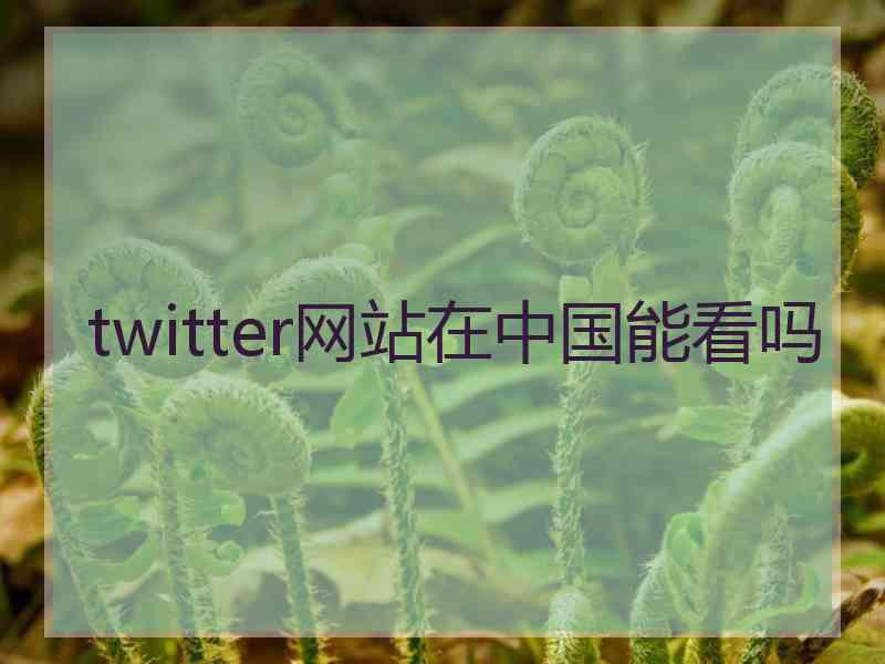 twitter网站在中国能看吗