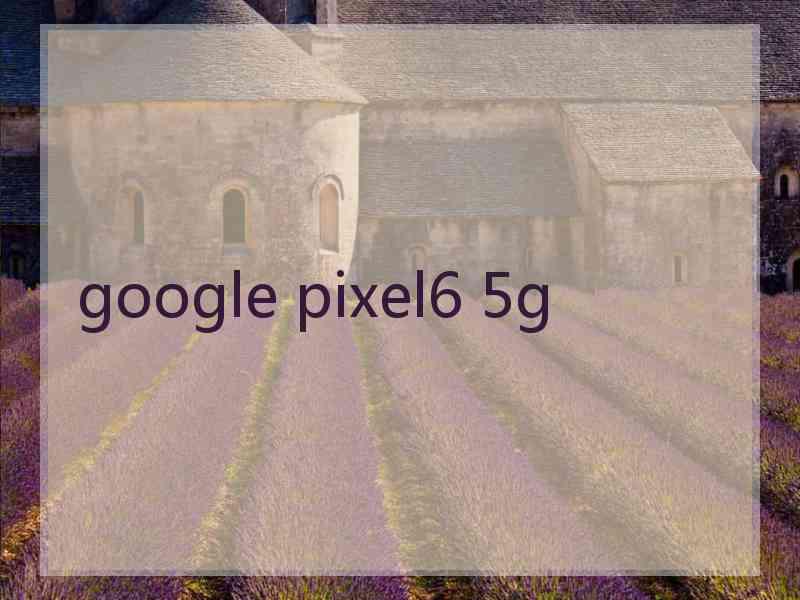 google pixel6 5g