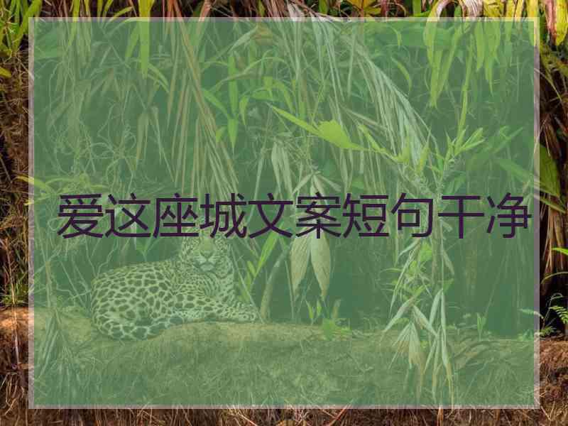爱这座城文案短句干净