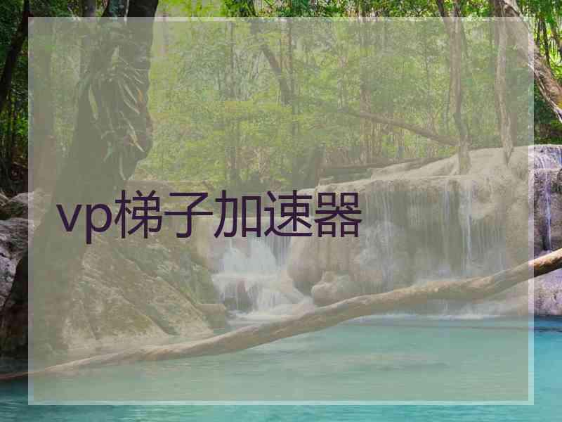 vp梯子加速器