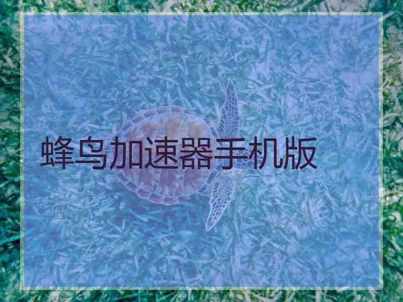 蜂鸟加速器手机版