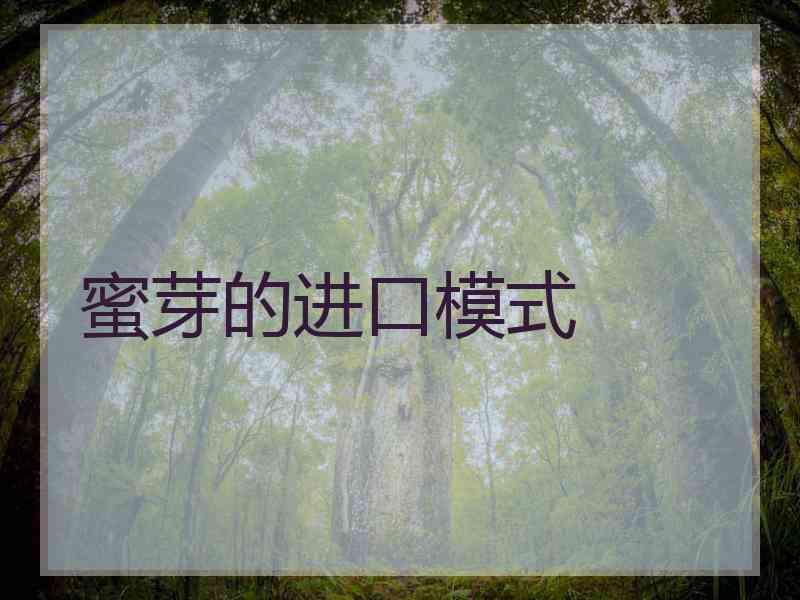 蜜芽的进口模式