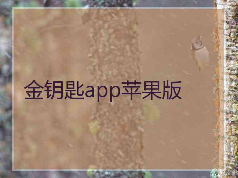 金钥匙app苹果版