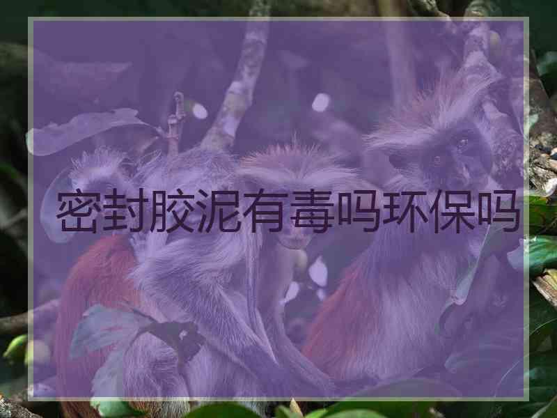 密封胶泥有毒吗环保吗