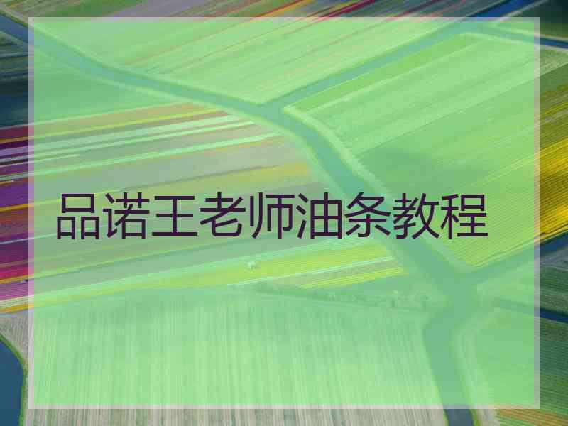 品诺王老师油条教程