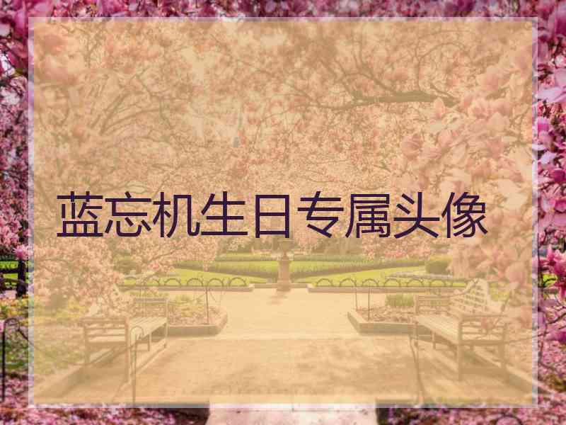 蓝忘机生日专属头像