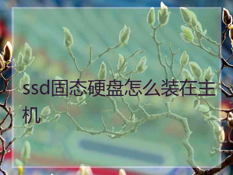 ssd固态硬盘怎么装在主机