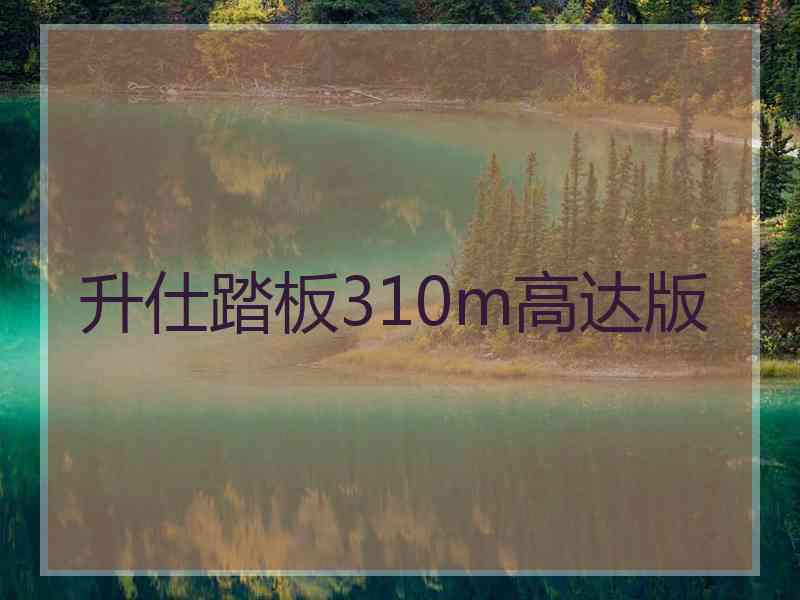 升仕踏板310m高达版