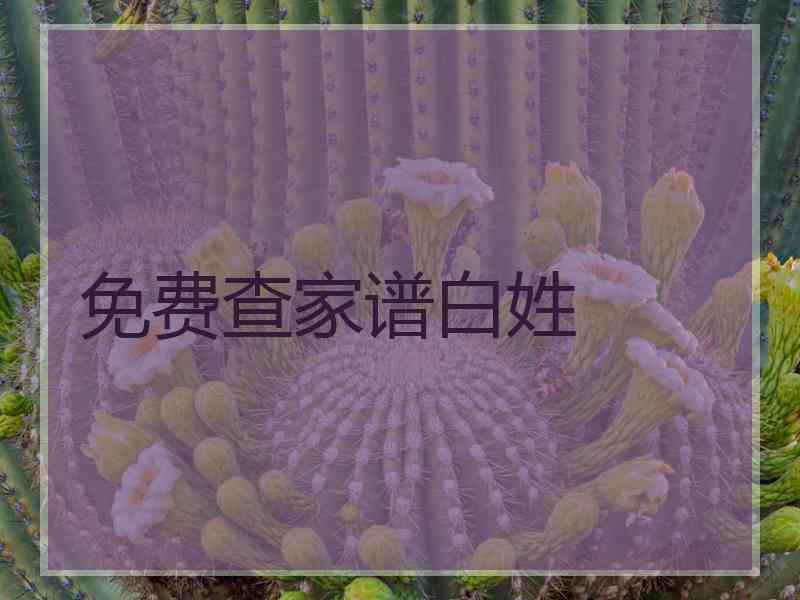 免费查家谱白姓