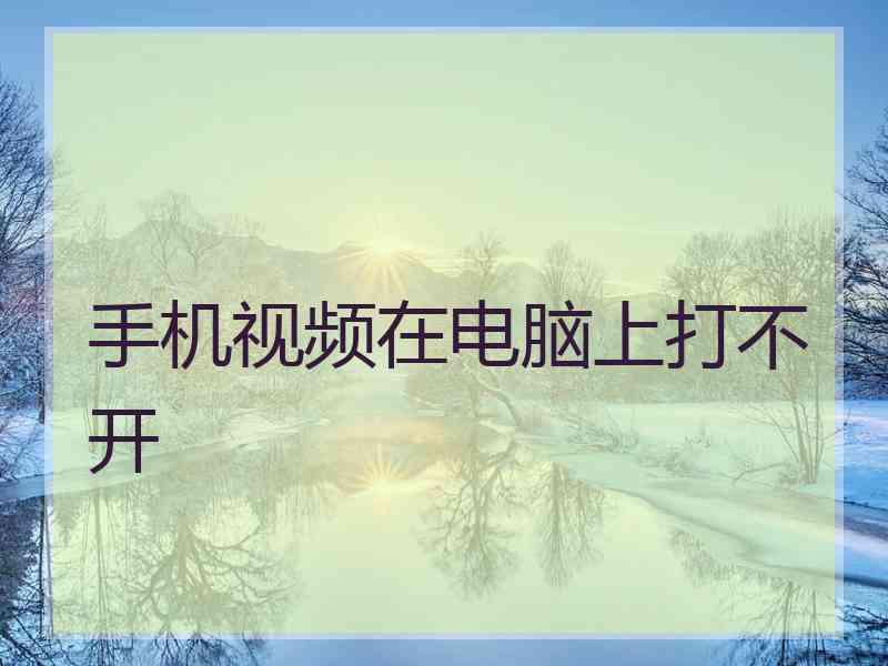 手机视频在电脑上打不开