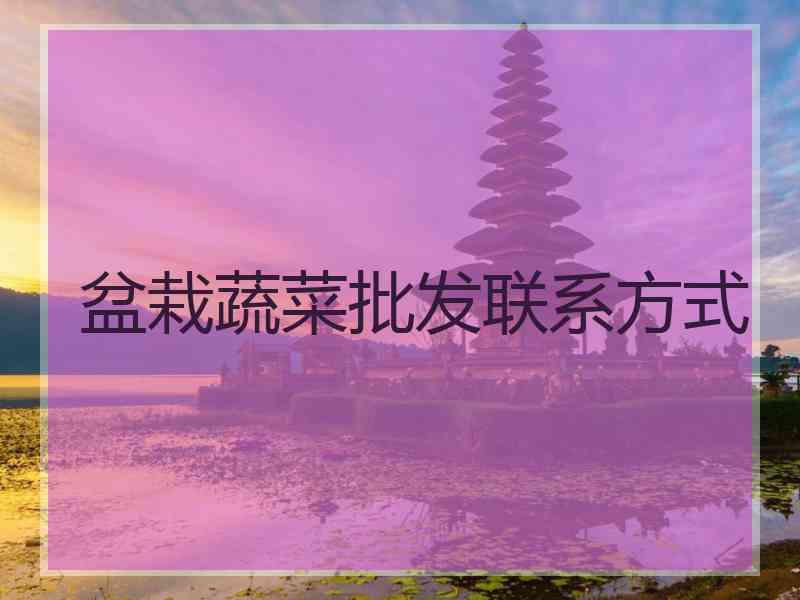 盆栽蔬菜批发联系方式