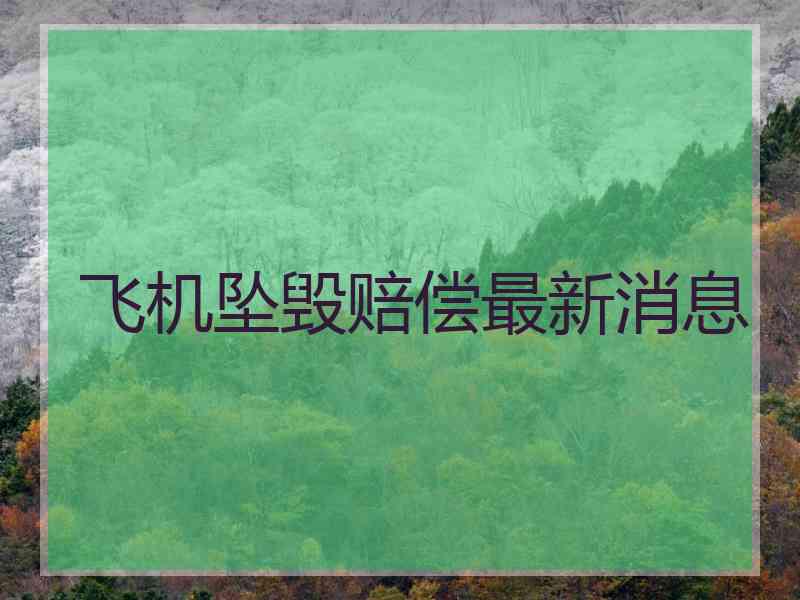 飞机坠毁赔偿最新消息