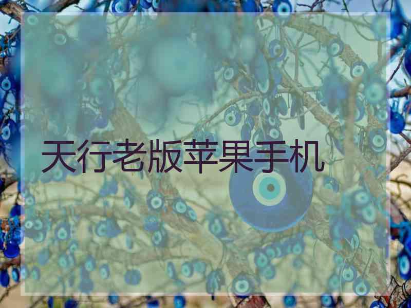 天行老版苹果手机