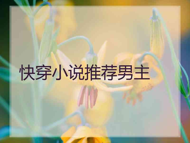 快穿小说推荐男主