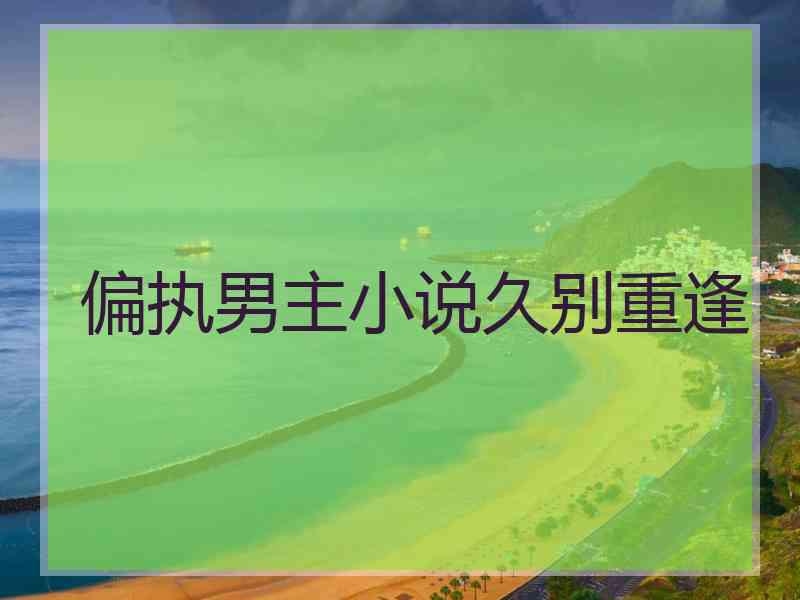 偏执男主小说久别重逢