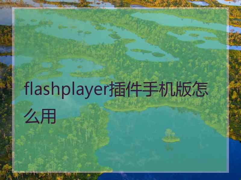 flashplayer插件手机版怎么用