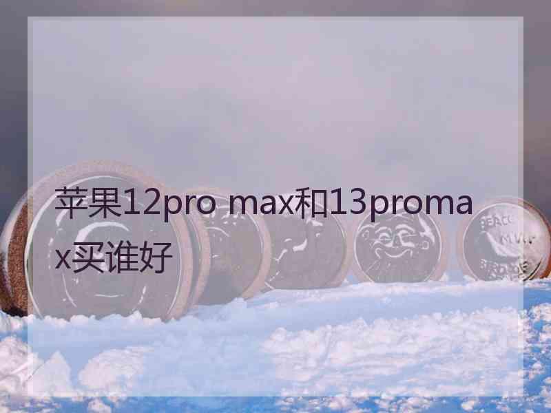 苹果12pro max和13promax买谁好