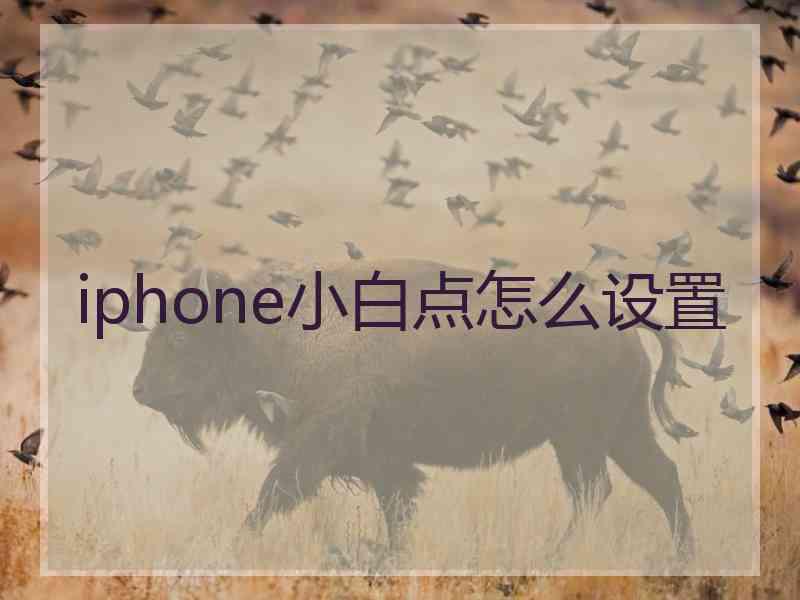 iphone小白点怎么设置