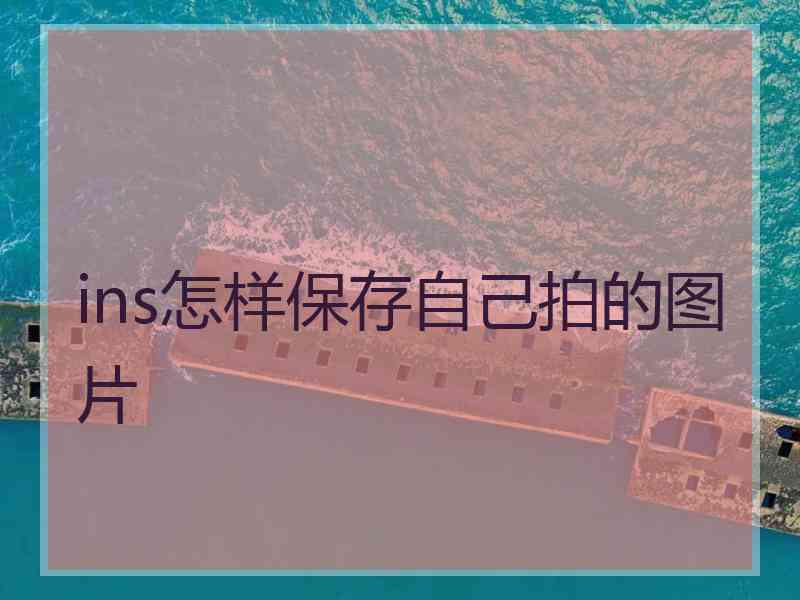 ins怎样保存自己拍的图片