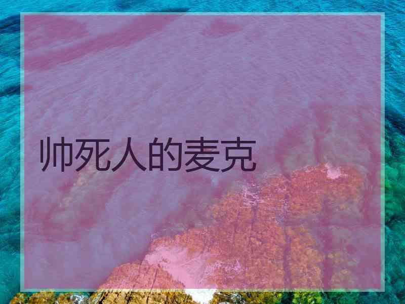 帅死人的麦克