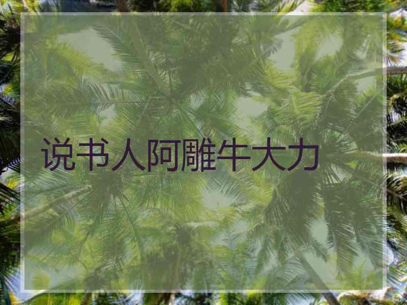 说书人阿雕牛大力