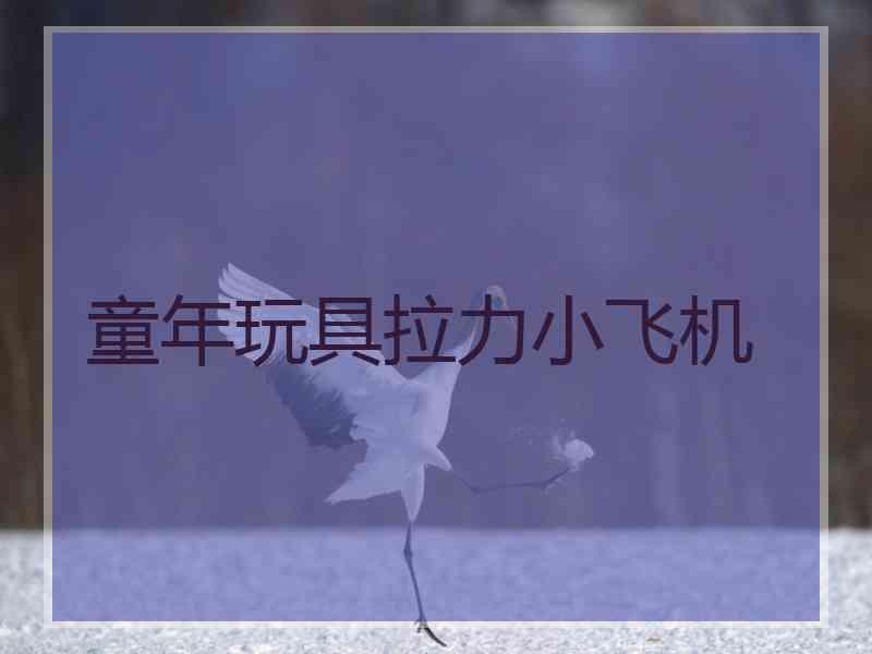 童年玩具拉力小飞机
