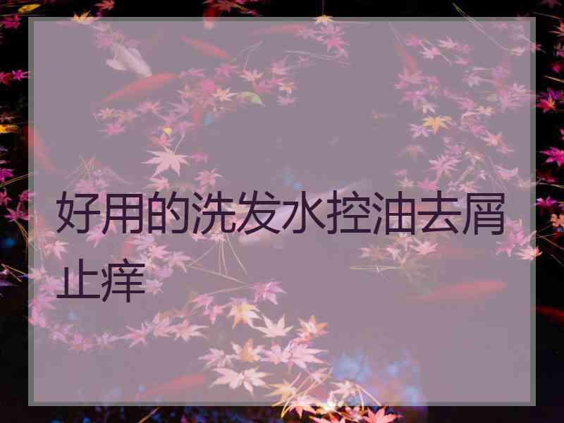 好用的洗发水控油去屑止痒