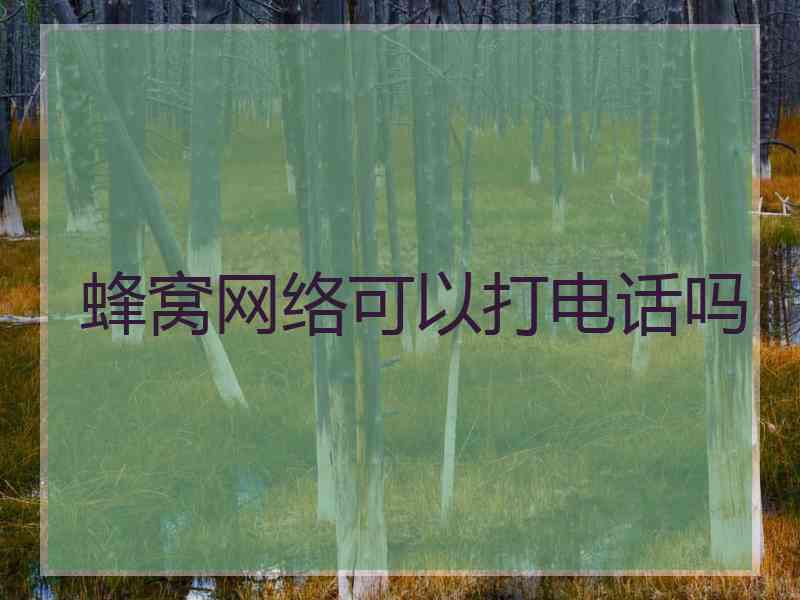 蜂窝网络可以打电话吗