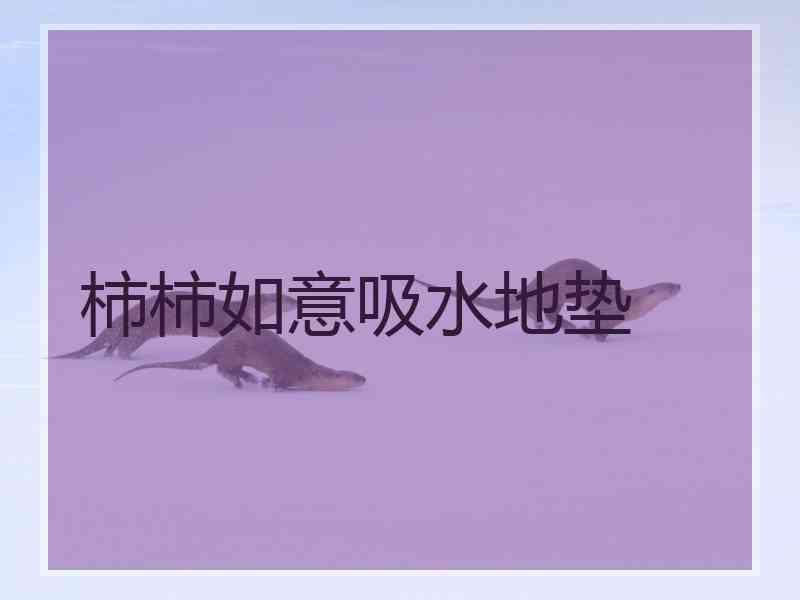柿柿如意吸水地垫