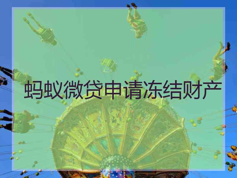 蚂蚁微贷申请冻结财产