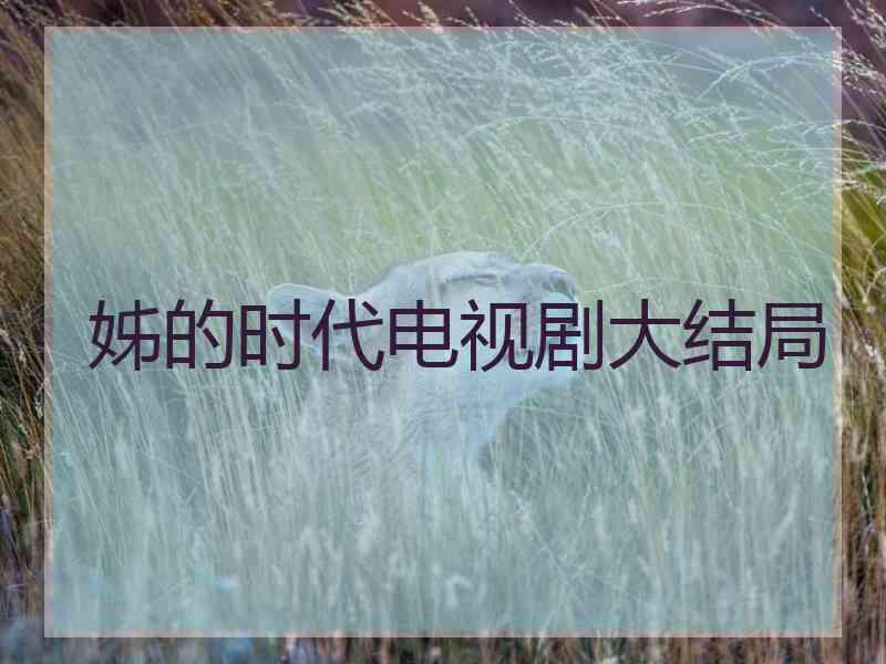 姊的时代电视剧大结局