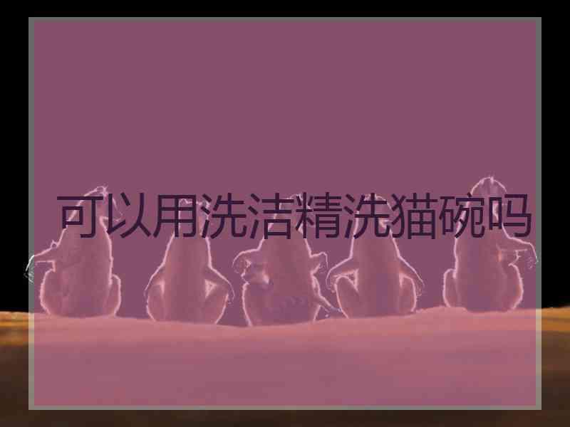 可以用洗洁精洗猫碗吗