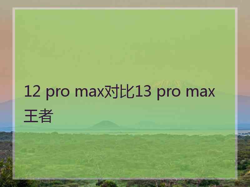 12 pro max对比13 pro max王者
