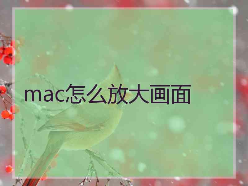 mac怎么放大画面