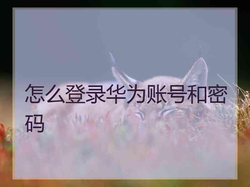 怎么登录华为账号和密码