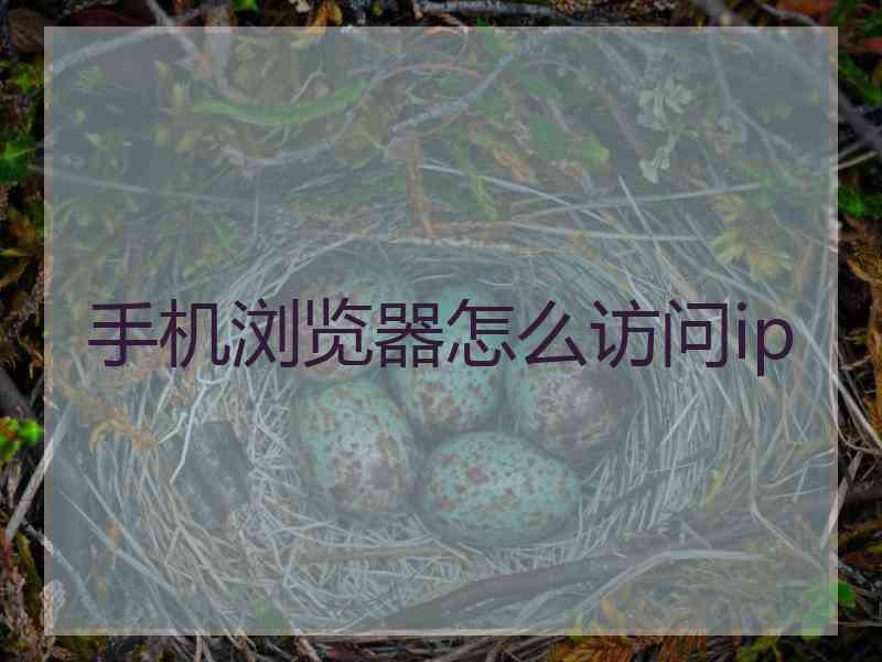 手机浏览器怎么访问ip