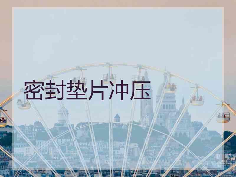 密封垫片冲压