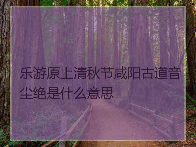 乐游原上清秋节咸阳古道音尘绝是什么意思