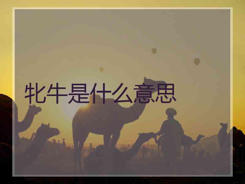 牝牛是什么意思