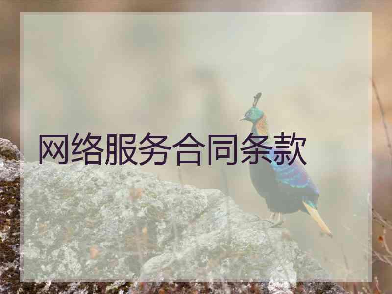 网络服务合同条款