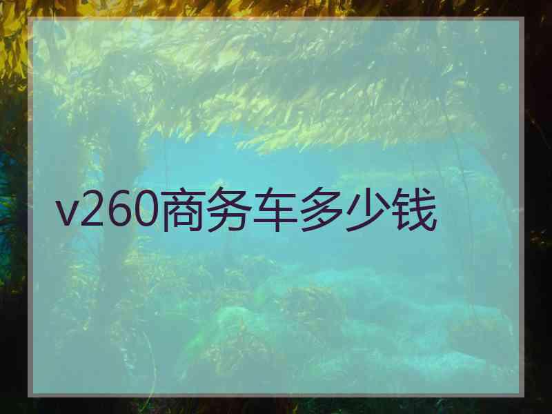 v260商务车多少钱