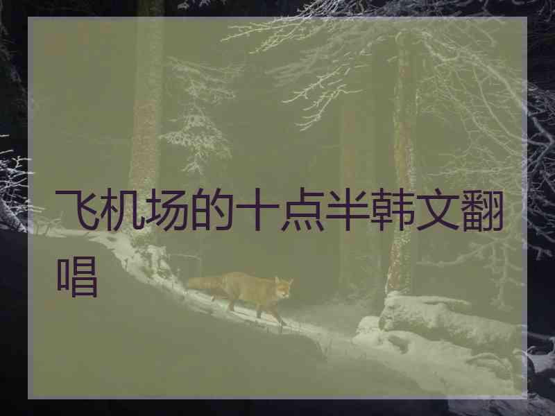 飞机场的十点半韩文翻唱