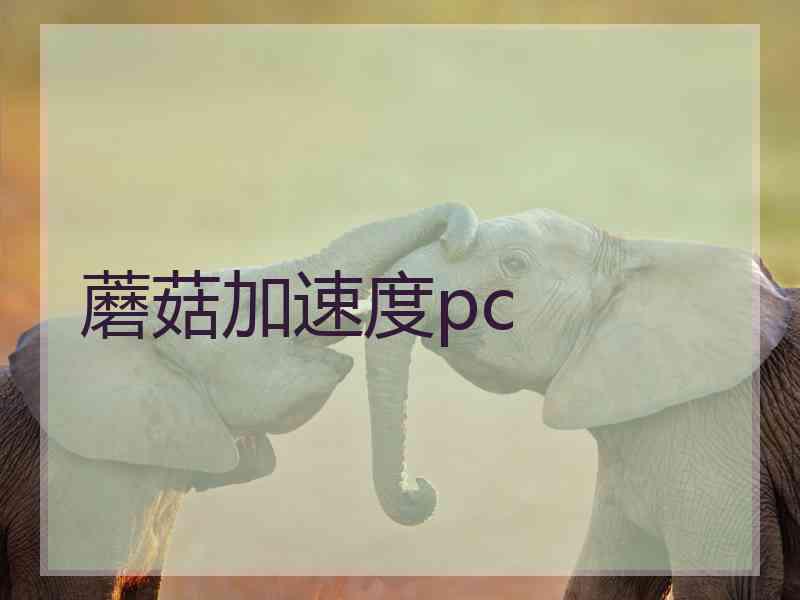 蘑菇加速度pc