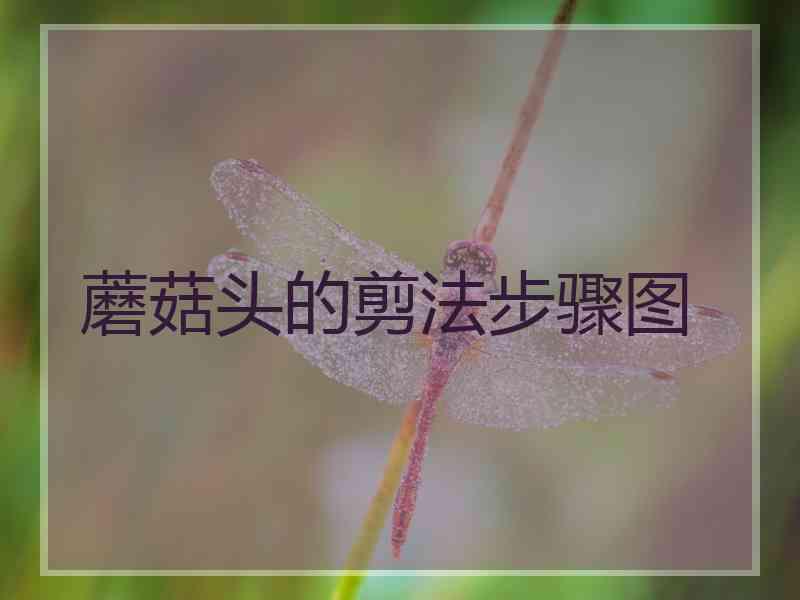 蘑菇头的剪法步骤图